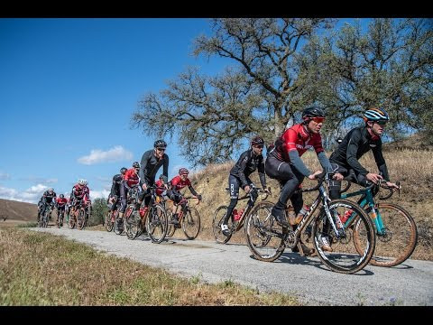 SRAM Force 1 X-SYNC 42T 1x11SP NoBB 110 BCD GXP Carbon Crankset 172.5mm Black