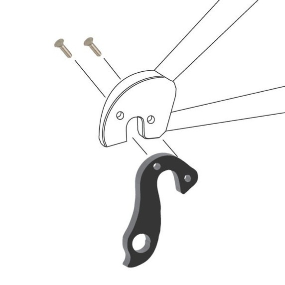 Dropout Derailleur Hanger 123 for BH Connect