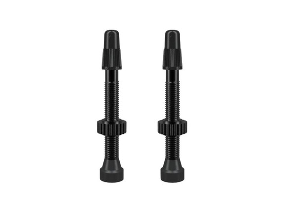 WTB TCS Presta Valve Set Black 46mm