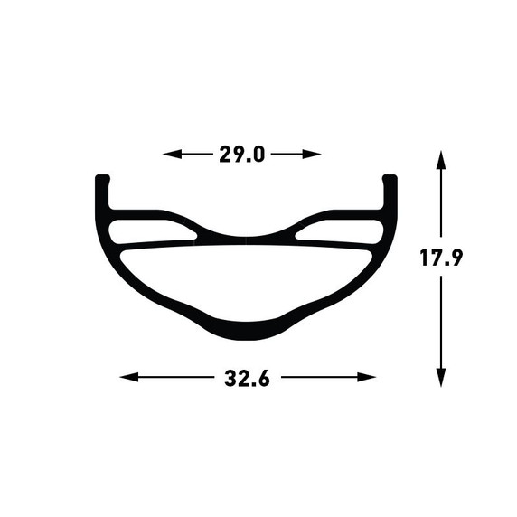 Stans NoTubes Flow EX3 29" 15x110 6B Front Wheel