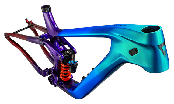 Giant 2024 Reign Adv Rainbow Sprayed MTB Frameset