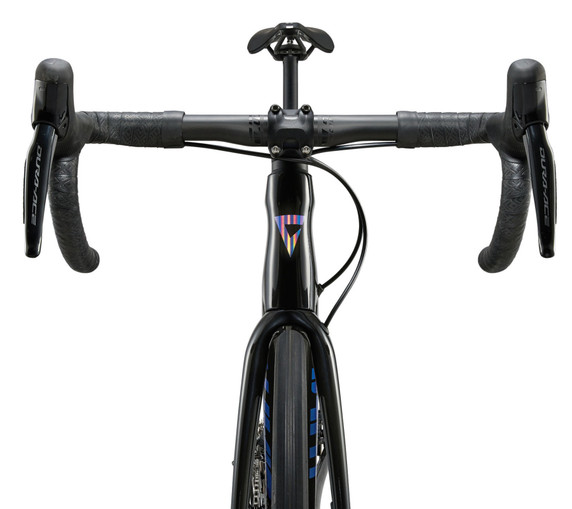 Giant 2024 TCR Adv SL 0 Disc Raw Carbon