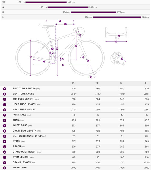 Liv 2024 Langma Adv Pro 1 Disc-PC Golden Haze Road Bike