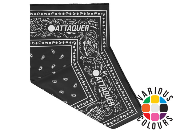 Attaquer Paisley Neck Warmer Atlantic Paisley