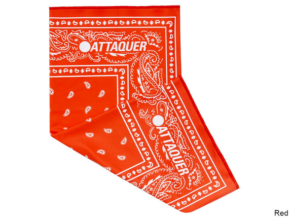 Attaquer Paisley Neck Warmer Atlantic Paisley