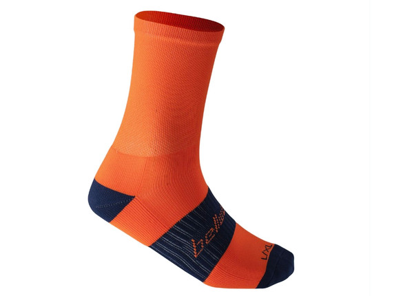 Bellwether Tempo Socks