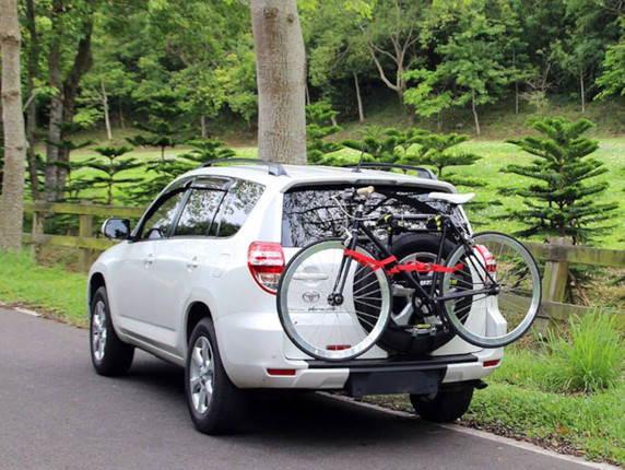 Buzzrack Beetle 4X4 Tyre Mounted Rack - 2 Bike Carrier
