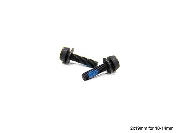 Campagnolo Screws for Rear Disc Brake Caliper Mounts