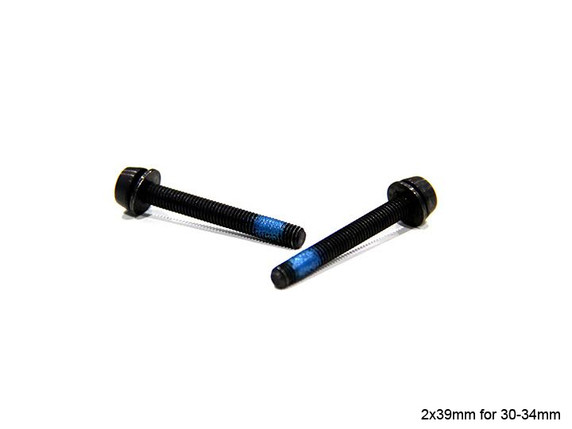 Campagnolo Screws for Rear Disc Brake Caliper Mounts
