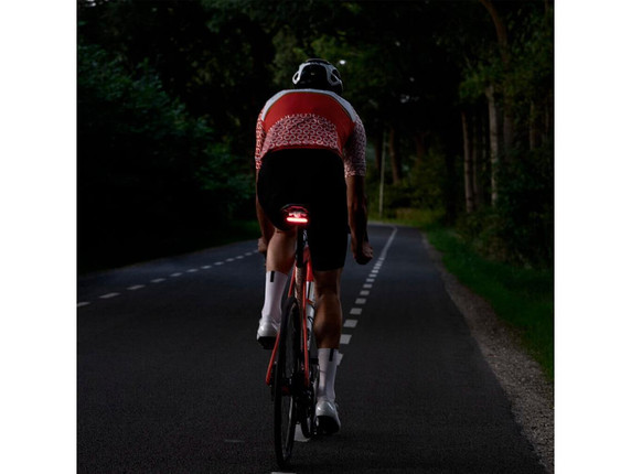 CloseTheGap HideMyBell CoverMyBack2 + Rear Mudguard