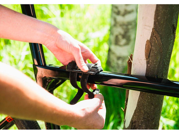Dawn to Dusk Bottle Cage Bear Hug Mount