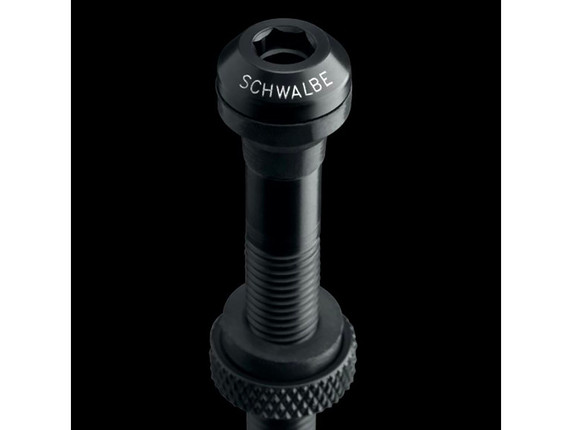 Schwalbe Tubeless Valve - 40mm