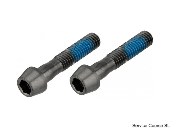 Zipp Seatpost Bolt Kit