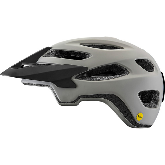Giant Roost MIPS Matte Concrete Helmet