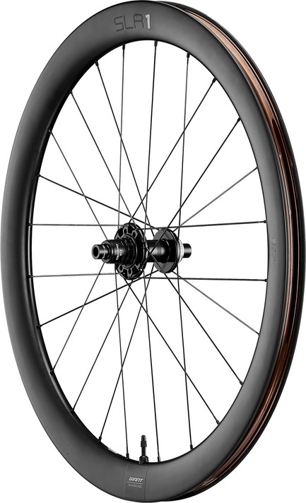 Giant SLR 1 50 Disc Rear Wheel