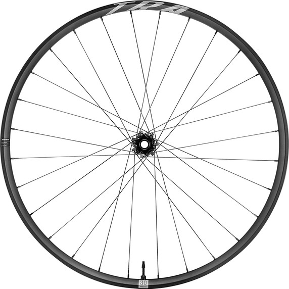 Giant TRA 29 Front Wheel