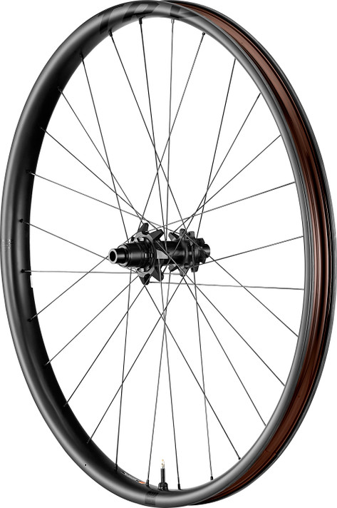 Giant TRX 29 Rear Wheel