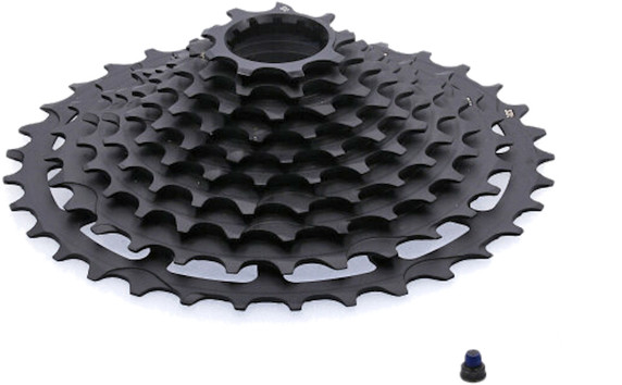 ethirteen TRS Plus 9-36T Spare 12sp Steel 10-Cog Cassette Black (Service Part Only)