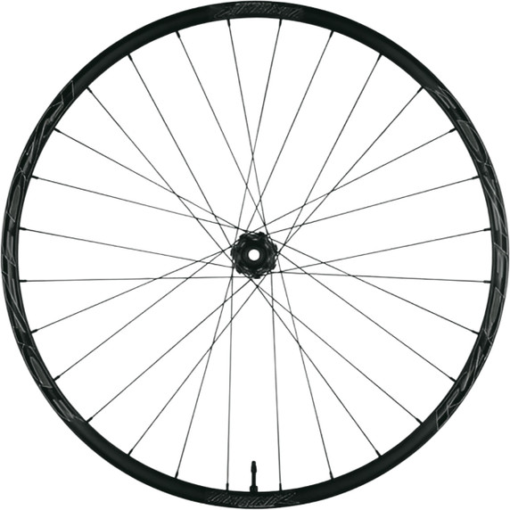 Race Face Turbine 35 29" 12x148 MS Rear Wheel