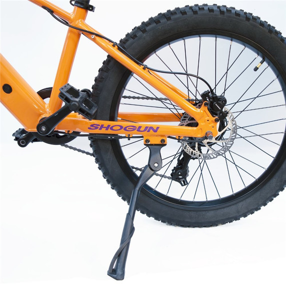 Shogun Zippy Kid E-Bike 24inch