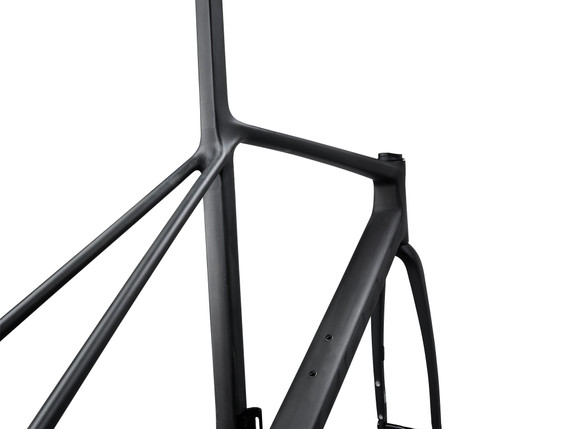 Giant TCR Advanced SL Frameset Raw Carbon