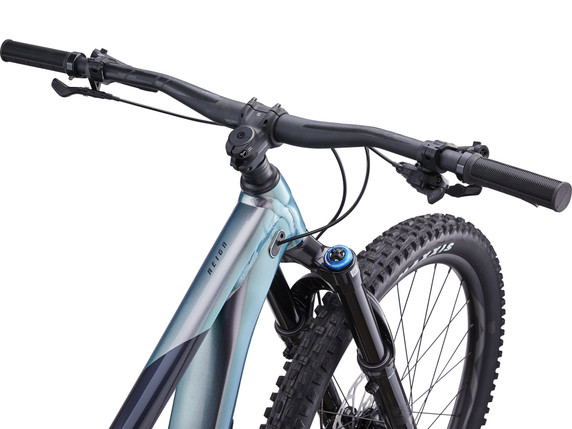 Giant 2023 Reign 1 M Airglow/Cold Night Bike