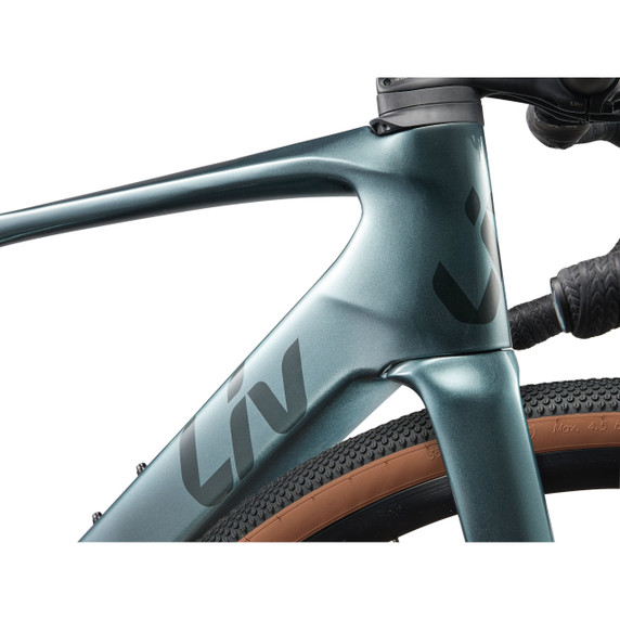 Liv Avail Advanced E+ Elite AR 25km/H Silver Pine E-Bike