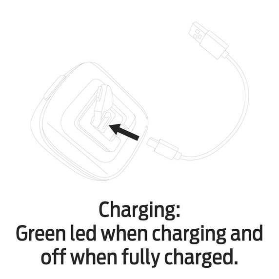 Azur Cetus Taillight