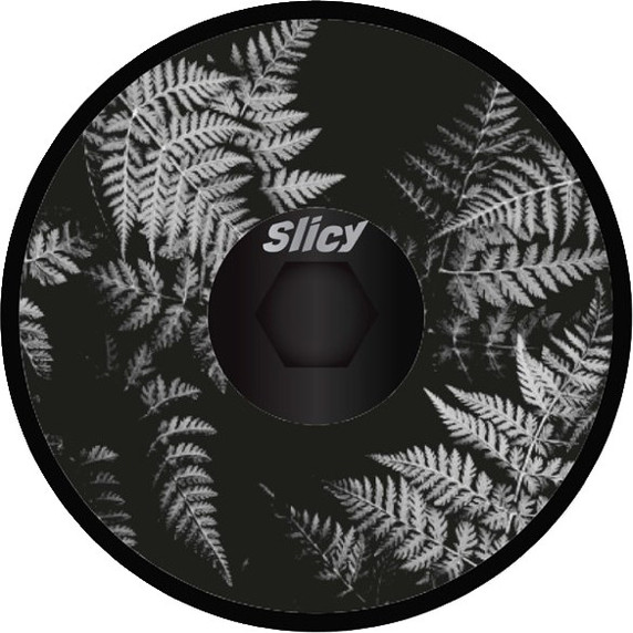 Slicy Fun Cap Ferns