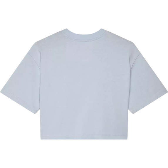 Fox Womens Wordmark OS Crop Tee Pale Blue