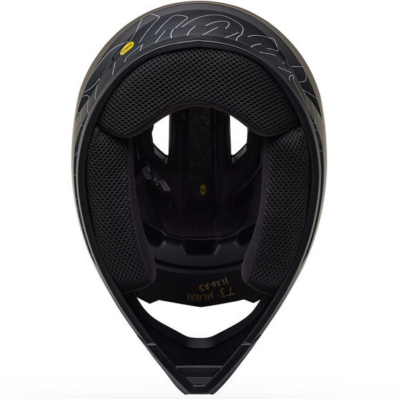 Bell Sanction 2 DLX MIPS Matte Black Fasthouse