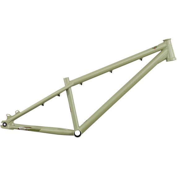 DMR Sect 24 Custom Frame Pistachio