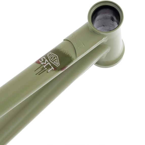 DMR Sect 24 Custom Frame Pistachio