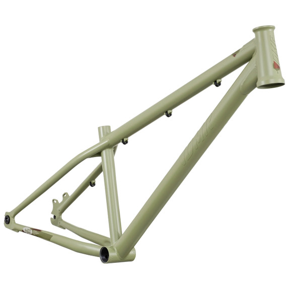 DMR Sect 24 Custom Frame Pistachio