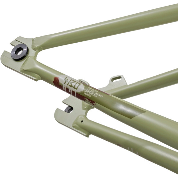 DMR Sect 24 Custom Frame Pistachio