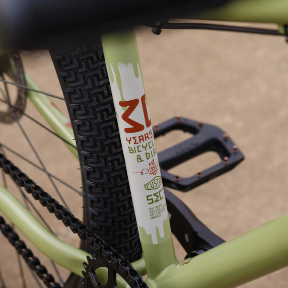 DMR Sect 24 Custom Frame Pistachio