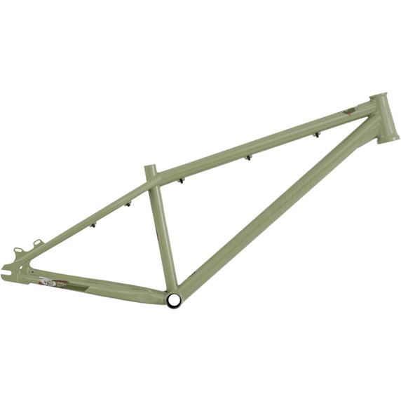 DMR Sect 26 Custom Frame Pistachio