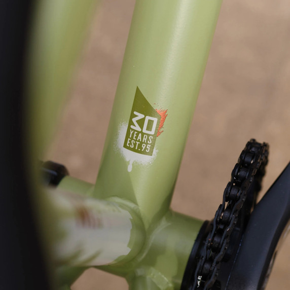 DMR Sect 26 Custom Frame Pistachio