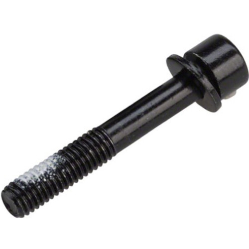 TRP HY RD/Spyre Flat Mount Bolt Set 32mm