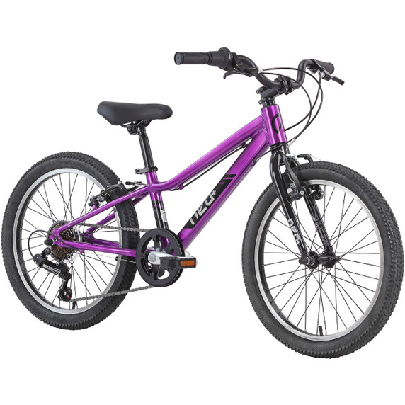 Apollo Neo+ 20 6s Chrome Purple