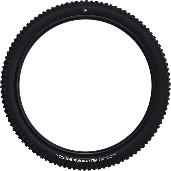 Schwalbe Albert Radial Tubeless Folding 29" Tyre