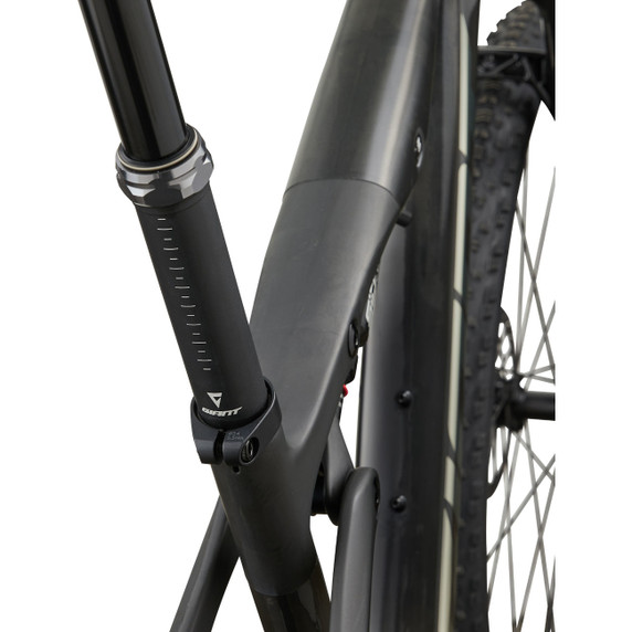 Giant Anthem Advanced SL 0 Raw Carbon