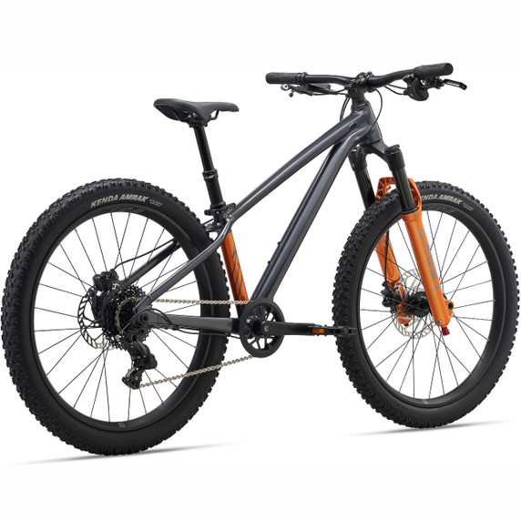 Giant STP Black Chrome 24"