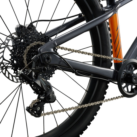 Giant STP Black Chrome 24"