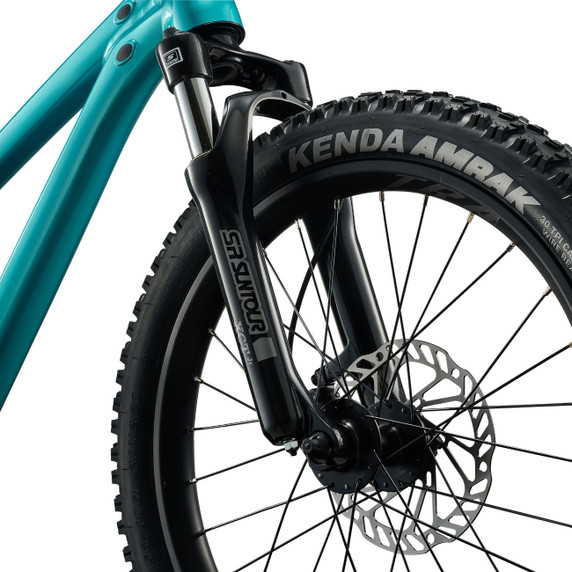 Giant STP Teal 20"
