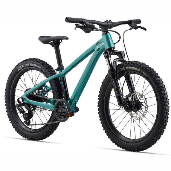 Giant STP Teal 20"