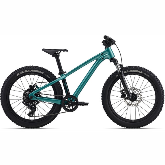 Giant STP Teal 20"
