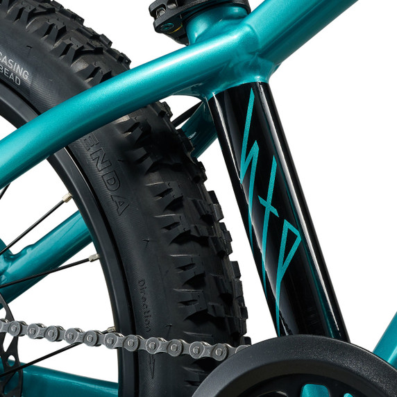 Giant STP Teal 20"