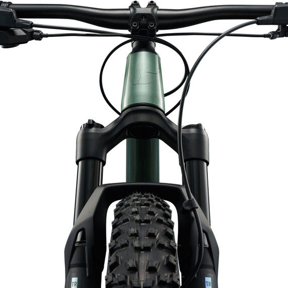 Liv STP Apline Green 24"