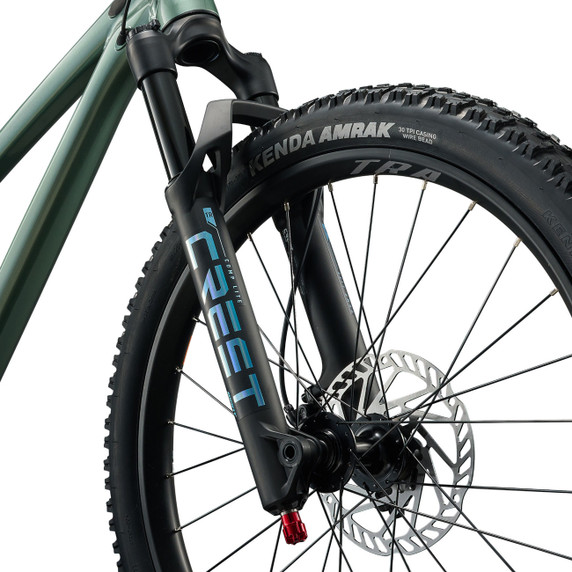 Liv STP Apline Green 24"